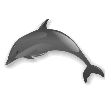Striped dolphin - Ionian Dolphin Project