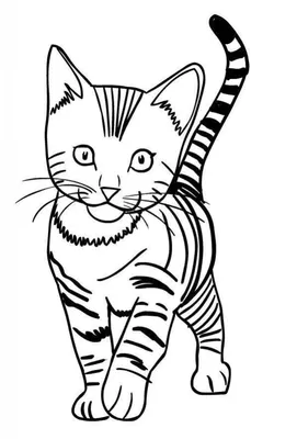 Полосатый котик рисунок - 52 фото