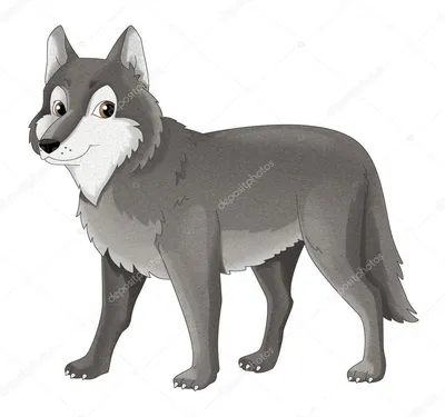 Интересные фото Серый волк в формате png для вашего экрана