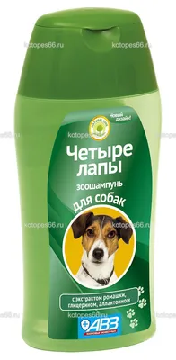 Шампунь для собак базовый с киви ALL ROUND KIWI PSH Professional Groomers —  PSH Pet Skin Healthcare — профессиональная косметика для собак из Испании.
