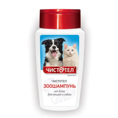 Шампунь для кошек и собак OkVet с хлоргексидином 5% , 250 мл купить в  Москве, цена, отзывы | интернет-магазин Доберман