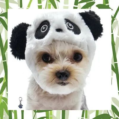 Panda Knit Beanie Hat Animal Hand Knit Beanie Toddler Hat Teen Girl Hat  Women Beanie Panda Bear Chunky Kawaii Panda Costume Adult Youth - Etsy |  Crochet winter hats, Toddler hat, Girl beanie