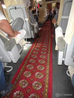 Отзыв о Поезд \"SHARQ\" Бухара - Ташкент | Удобный поезд с мягкими сидениями