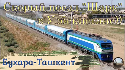 Поезд \"Шарк\" ,Бухара -Ташкент - YouTube
