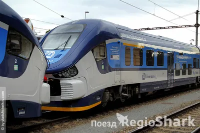 Поезд - Regio Shark ČD - модельный ряд 844