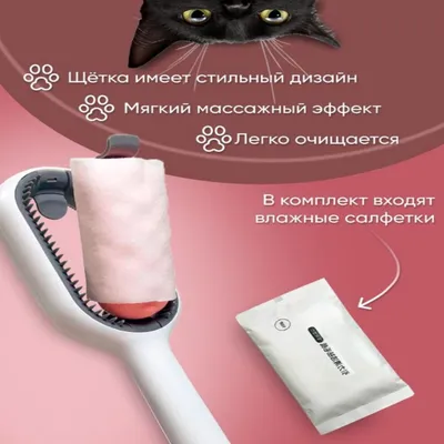 Tamachi зубная щетка 3D для собак, купить оптом в Москве, цена,  характеристики, описание - Симбио - ЗооЛэнд