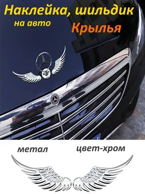 Логотип Шильдик Авто Skoda Шкода на Коврики ЕВА — Купить на BIGL.UA ᐉ  Удобная Доставка (1891295025)