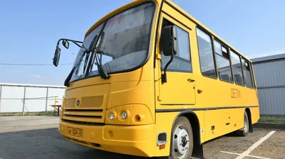 Российские школьные автобусы окрасят в желтый цвет