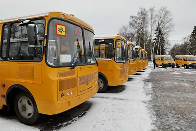 Пять районов области накануне учебного года получили новые школьные автобусы  (+видео) | Щучинская районная газета Дзяннiца