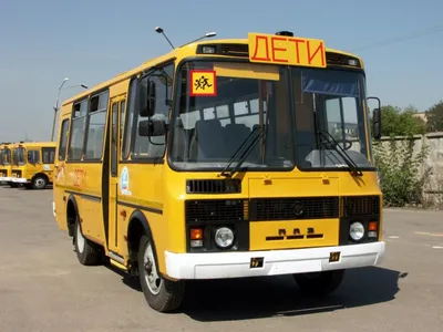 В России появятся бесплатные школьные автобусы - Экспресс газета