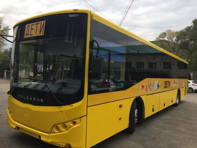 Новые школьные автобусы выходят на маршруты в Ярославской области- Яррег -  новости Ярославской области