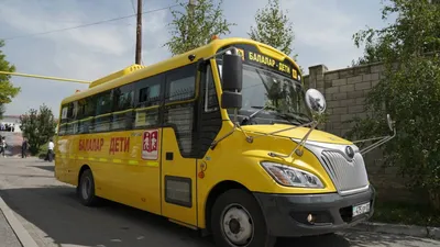 Почему американские водители боятся школьных автобусов больше, чем полицию  | TravelManiac | Дзен