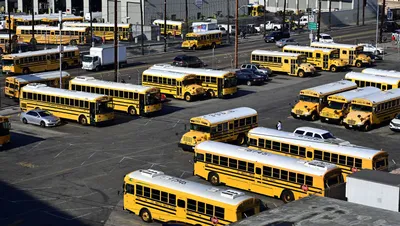 В Калужской области займутся законом о перевозке дошкольников в школьных  автобусах