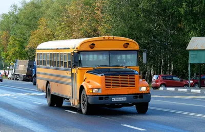 Школьные автобусы, стоящие на дворе в Бруклине после Nyc закрытого вниз  государственной школы для того, чтобы остановить распростр Редакционное  Фотография - изображение насчитывающей америка, ребенок: 176209382