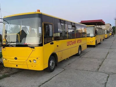 Школьные автобусы США в РФ | Пикабу