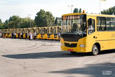 Школьные автобусы, стоящие на дворе после Нью-Йорка закрыли государственной  школы для того, чтобы остановить распространение корон Редакционное  Изображение - изображение насчитывающей стоп, америка: 176005735