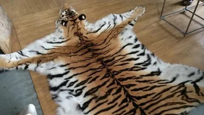 Коврик для дома - шкура тигра, 150 см. Тигр Хищник БЕБИЛЕНД 5958071 купить  в интернет-магазине Wildberries
