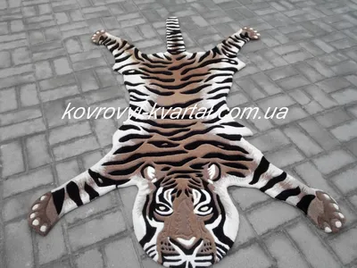Шкуру амурского тигра нашли пограничники в машине жителя Владивостока -  PrimaMedia.ru
