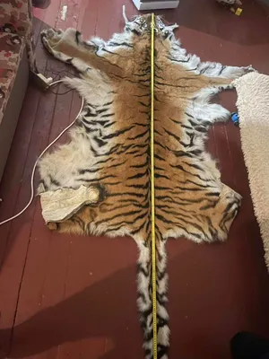 Бок тигра шкура крупным планом …» — создано в Шедевруме