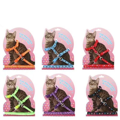 Шлейка для кошек с поводком 1.5 м для прогулки / Шлейка для кроликов и  собак мелких пород / черная - купить с доставкой по выгодным ценам в  интернет-магазине OZON (382139619)