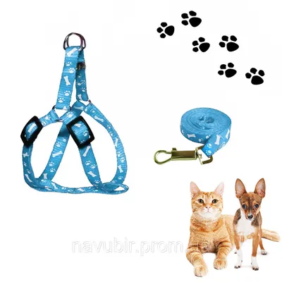 Шлейка для кошек и собак со светоотражающими элементами - купить с  доставкой по выгодным ценам в интернет-магазине OZON (953071267)