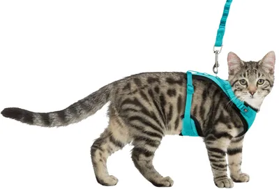 Шлейка с поводком, для кошки заказать онлайн, опт и розница. TRIXIE —  официальный поставщик в России