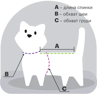 RolfClub 3D Ошейник для кошек от клещей, блох, вшей, власоедов 40 см |  Купить в Москве