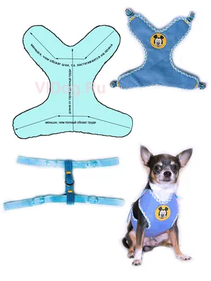 Мягкая шлейка для чихуахуа - выкройка — Интернет-магазин одежды для собак  Zoostyle