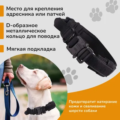 Поводок для собак (товары в наличии) | Безопасные товары для домашних  животных, соответствующие стандартам CPSIA | Brilliant