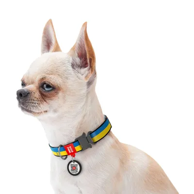 Breathable Mesh Dog Harnesses for Small Dogs Puppy Cat Chihuahua Vest  Harness | eBay