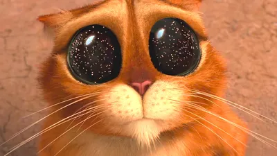 Мечта любого фаната «Шрека»: как выглядит кошка с самыми бездонными глазами