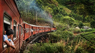 Путешествуем по Шри-Ланке поездом: полезные советы туристам - Евророуминг