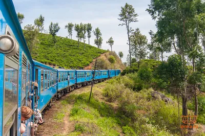 На поезде из Канди в Эллу | Шри-Ланка — Ланка.ру