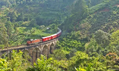 Путешествие на поезде по Шри-Ланке | Шри-Ланка — Ланка.ру