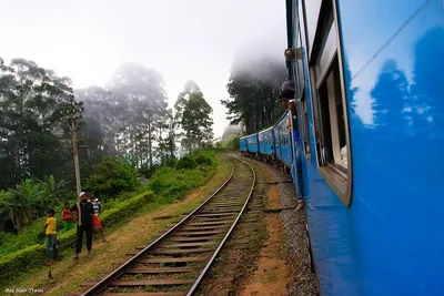 Поезда на Шри-Ланке, их классы, тарифы и бронирование | SriLankaFinder