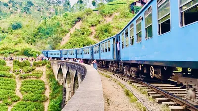 Моё новое открытие: Шри-Ланка, самостоятельное путешествие, куда поехать —  Блог Ольги Салий Другие путешествия