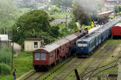 Поезда Шри-Ланки, железнодорожные билеты, расписание, вокзал | Шри-Ланка —  Ланка.ру