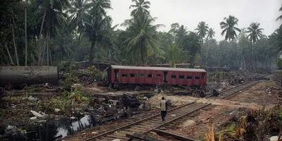 На Шри-Ланке начались перебои в работе железной дороги из-за COVID-19 | ИА  Красная Весна