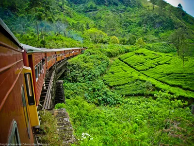 Элла: путешествие в высокогорную Шри-Ланку © цена и отзывы 2024 года •  Travel Mania