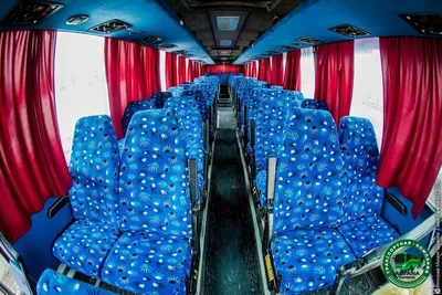 Новые автобусы на 740 млн рублей хотят закупить воронежские власти |  Горком36 новости Воронеж