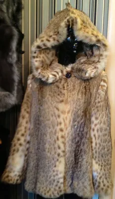 Шуба из камышового кота Цена со скидкой 35 000 Размер 46,48,50 | Coat, Fur  coat, Fashion