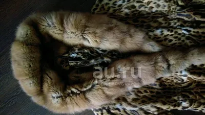 Шуба из камышового кота купить в Омске с доставкой | Личные вещи | Авито