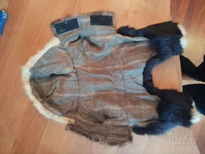 норка шерсти собаки пальто играет женщину Стоковое Фото - изображение  насчитывающей природа, актиния: 23259622