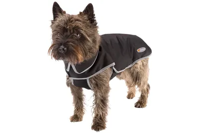 Утепленная шуба костюм для собак маленькой породы - купить с доставкой по  выгодным ценам в интернет-магазине OZON (1310498808)