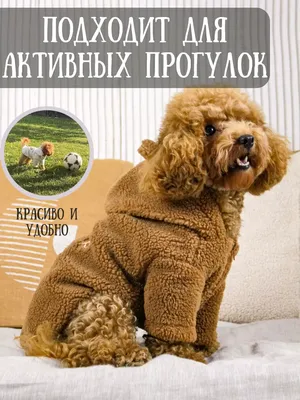 Купить Пальто для собаки с шлейкой, зимняя теплая флисовая куртка для  домашних животных для маленьких и средних собак, костюм для щенка, жилет,  наряд 2 в 1, пальто для собаки в холодную погоду