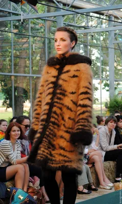 Пальто Тигр(KONEA218161590y) – интернет-магазин женской дизайнерской одежды  MilaMarsel