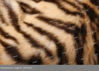 Норковый полушубок, полустрижка Тигровый лазерный рисунок всего за 22000  рублей купить в «ЛедиАх!» артикул #001682