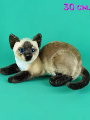 Мягкая игрушка-подушка Сиамский кот Нескучные вещи 180072106 купить за 718  ₽ в интернет-магазине Wildberries