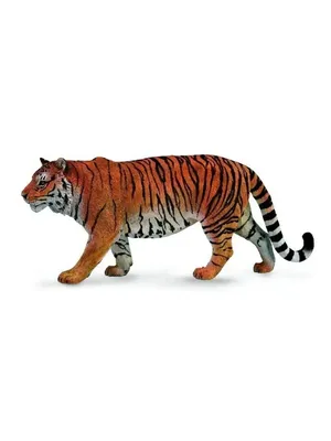 Игрушка Collecta Сибирский тигр фигурка животного купить по цене 788 ₽ в  интернет-магазине Детский мир