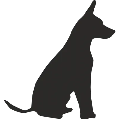 Собака Лабрадор Сидящая - Бесплатное фото на Pixabay - Pixabay